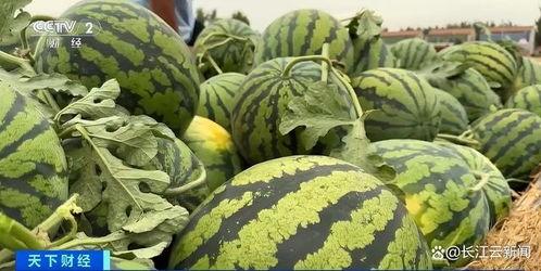 资深吃瓜,资深吃瓜群众揭秘娱乐圈幕后真相