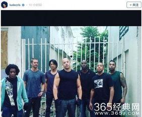 好莱坞吃瓜群众,揭秘吃瓜群众的娱乐盛宴