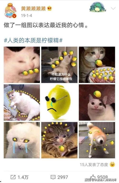 吃瓜喊加油,见证时代变迁的民间力量