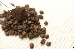 咖啡豆吃瓜,一场味蕾的盛宴