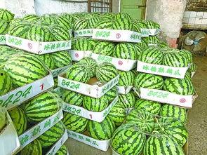 武汉吃瓜视频,揭秘街头美食背后的故事