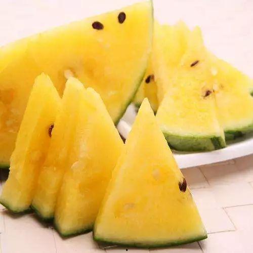 黑生物吃瓜,揭秘奇异食性之谜