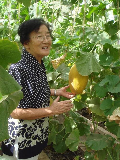 谢小姐吃瓜,一场甜蜜的吃瓜盛宴