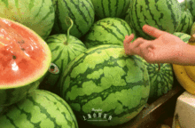 潮汕最新吃瓜,揭秘最新“吃瓜”潮流