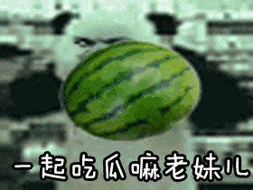 泉州骑行吃瓜,沿途吃瓜趣事多