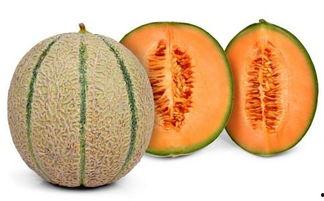 吃哈密瓜可以吃地瓜吗,同食相宜的夏日美味搭配